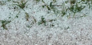 Il maltempo flagella l’agricoltura: per Coldiretti milioni di danni grandine 13 maggio 2019