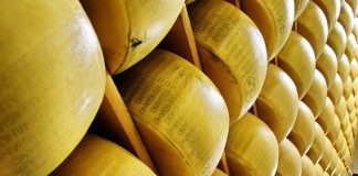“Identità d’origine. Dop e Igp dall’Italia e dall’Europa” a Bologna dal 30 agosto al 1° settembre parmigiano reggiano