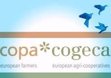 Confagricoltura: “Prorogata presidenza agricoltori UE, continuità all’azione sindacale” copa cogeca uffici