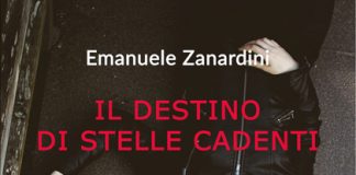 “Il destino di stelle cadenti”, allo scoperta del libro di Emanuele Zanardini il destino di stelle cadenti copertina libro