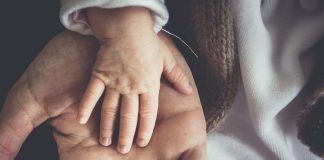 Istat: al Sud più coppie con figli, Basilicata al primo posto