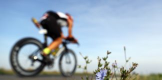 Terre del Triathlon, gli appuntamenti di agosto e settembre