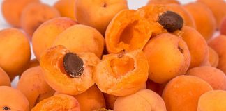 Crisi frutta estiva, crollo dei prezzi pagati agli agricoltori albicocche