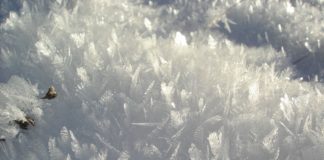 Storia di una tempesta di neve … cristalli neve