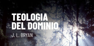 Teologia del dominio, il nuovo thriller distopico di J. L. Bryan teologia del dominio cover