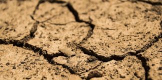 Siccità, misure di sostegno per l’agricoltura: soddisfatta Confagricoltura siccità