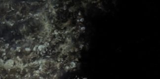 James Blunt: il nuovo cd “Once Upon A Mind” esce il 25 ottobre, tre date in Italia nel 2020