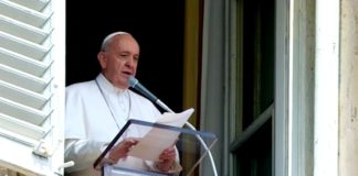 Papa Francesco: “Tutelare la vita, finisca l’inverno demografico in Italia” Papa Francesco Angelus