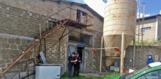 Suini morti per disidratazione, denunciato un uomo nel Maceratese