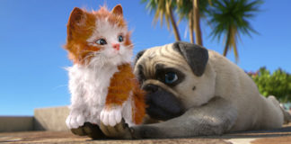 Lo show del cane Mike il Carlino su Boomerang: ecco da quando mike il carlino