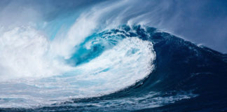 Cambiamenti climatici, Greenpeace: gravi impatti anche sugli oceani oceano