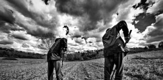 Coltiviamo l’agricoltura sociale 2019, si vota online agricoltura sociale