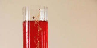 Un cocktail per Halloween: ecco come prepararlo, la ricetta cocktail hallowen