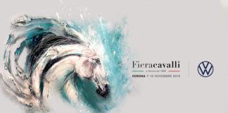 Fieracavalli 2019: sport, morfologia, spettacoli e animazioni fieracavalli 2019