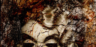 Adelia Clavien, stratifications and overlaps to bring out the hidden beauty (IE) papillon