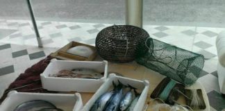 Il lockdown premia i consumi di pesce allevato in Italia