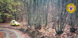 Muore mentre cerca funghi dopo un malore