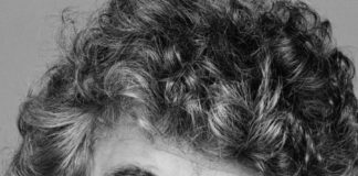 Grillo: ‘Mi propongo come segretario del Pd, i partiti collaborino’