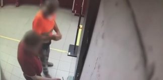 Roma, licenziati 10 giardinieri furbetti: timbravano il cartellino e andavano a lavorare dai privati