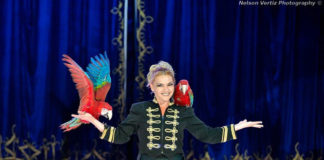 Circo Nelly Orfei arriva a Palermo: ecco quando circo nelly orfei