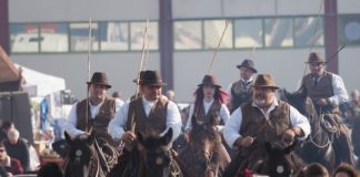 121° Fieracavalli, le foto della rassegna del settore equestre 2019 fieracavalli verona 2019