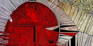 Focus sul “cervello” del cuore e sulle neurotrofine prodotte la parte visibile del cuore