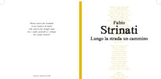 Lungo la strada un cammino, il diario di bordo di Fabio Strinati lungo la strada un cammino fabio strinati
