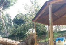 Decreto Maltempo, Cna e Confartigianato: “Intervento Governo tempestivo ma sono necessarie ulteriori risorse”