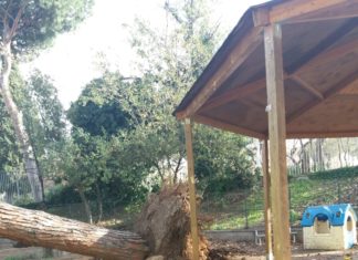 Decreto Maltempo, Cna e Confartigianato: “Intervento Governo tempestivo ma sono necessarie ulteriori risorse”