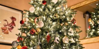 Natale 2020, ecco le più amate Christmas Songs in lingua inglese secondo Cambridge Assessment English albero di natale