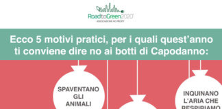 Capodanno senza botti: perchè conviene e altri modi di festeggiare capodanno senza botti