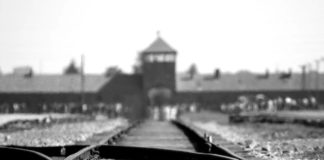 Giorno della Memoria, l’importanza del ricordo birkenau