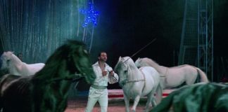 Circo Lidia Togni a Roma: ecco quando, dove, orari cavalli circo togni