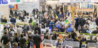 Klimahouse Future Hub, dai moduli green alle pareti smart per le abitazioni del domani: il meglio dell’innovazione sostenibile a Bolzano