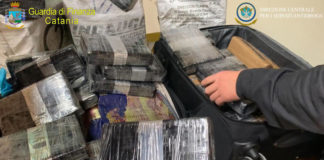 Narcotraffico: arresti e sequestri tra Italia, Spagna, Messico e Colombia