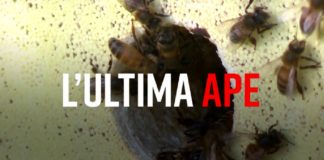 PresaDiretta torna in onda il 3 febbraio con “L’ultima ape”