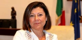 Cna incontra la ministra De Micheli: “Trasporto persone allo stremo, servono misure urgenti per dare ossigeno alle imprese”