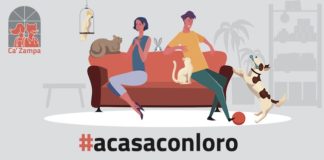 Campagna social #acasaconloro, gli italiani a casa con gli amici a 4 zampe acasaconloro