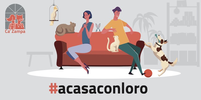 acasaconloro