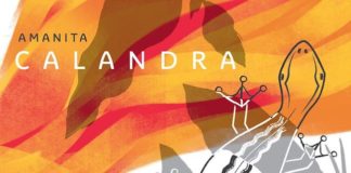 “Calandra”, alla scoperta del nuovo album di Amanita calandra amanita