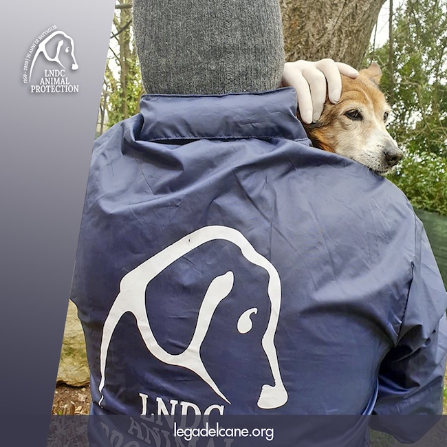 corona virus lndc protezione civile