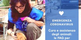 Cura, assistenza degli animali e Coronavirus: alcuni consigli coronavirus cura assistenza animali