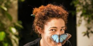 “La Casa delle Farfalle” torna a Roma con la quarta edizione casa delle farfalle