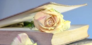 La mia rinascita libri rosa