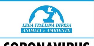 Persone in difficoltà con i propri animali, Brambilla su interventi dei volontari locandina leidaa per covid-19