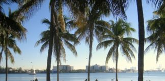 Miami, spiagge chiuse per il coronavirus miami beach