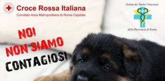 “Noi non siamo contagiosi”, al via la campagna di sensibilizzazione noi non siamo contagiosi cri