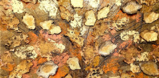Spirituality and feelings manifested through nature in Doina Popescu’s enchanting artworks (IE) tree code