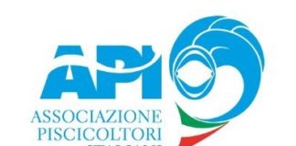 Coronavirus, Associazione piscicoltori: “In due mesi -70% delle vendite”