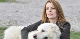 Riapertura attività di toelettatura per animali, l’appello della Brambilla brambilla cane